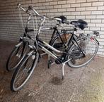 Gazelle Damesfiets en Herenfiets, Ophalen, Versnellingen, Gazelle, 53 tot 56 cm