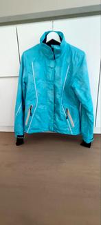 Skijas dames maat 40, 160 tot 180 cm, Zo goed als nieuw, Kleding, Ophalen