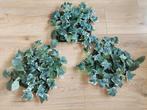 3x Ikea Fejka wandpaneel met kunstplanten, Ophalen of Verzenden, Gebruikt, Binnen