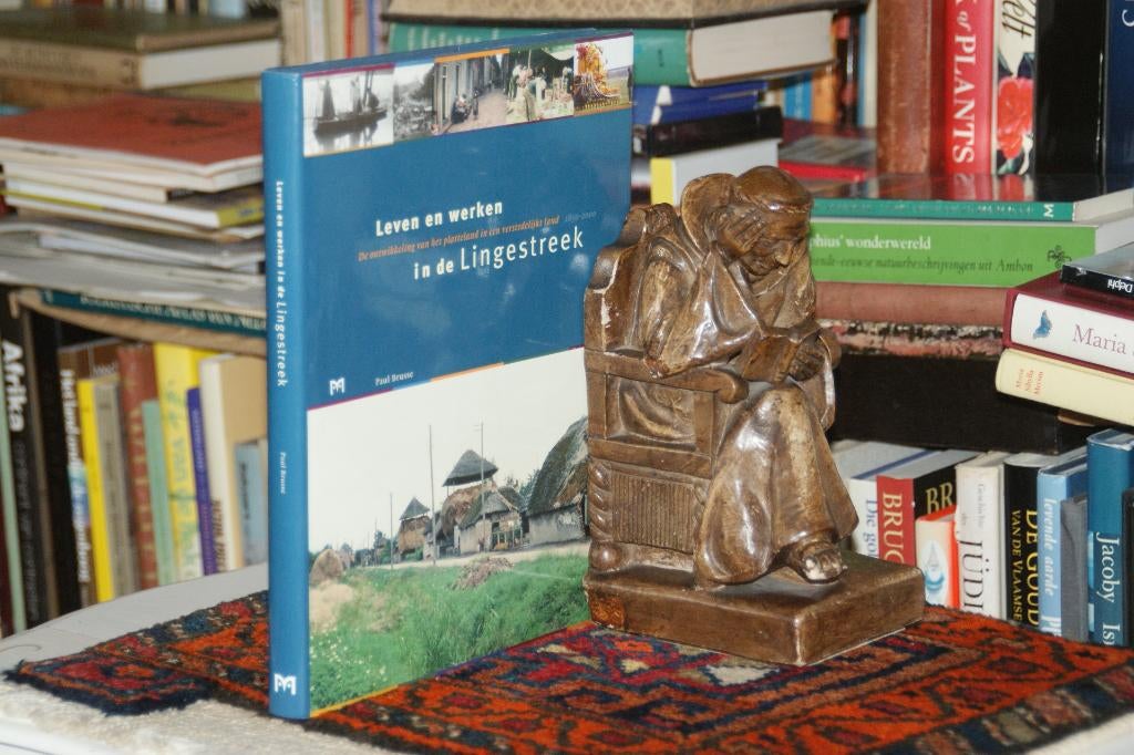 Matrijs: LEVEN en WERKEN in de LINGESTREEK  ontwikkeling vh, Boeken, Ophalen of Verzenden, Zo goed als nieuw