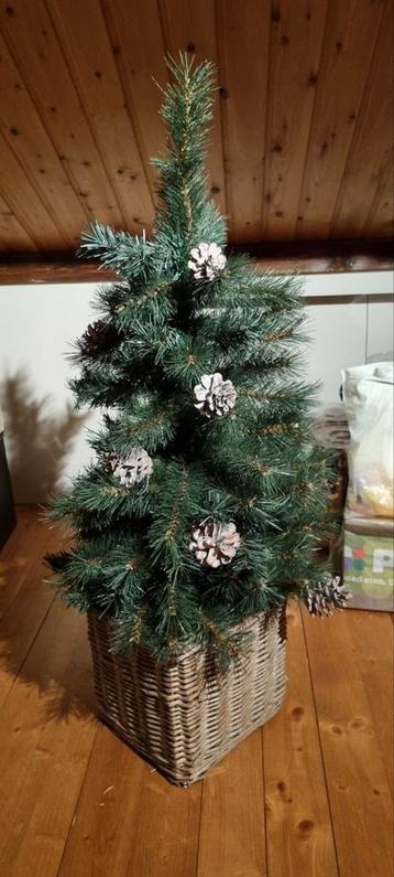 Kerstboom  beschikbaar voor biedingen