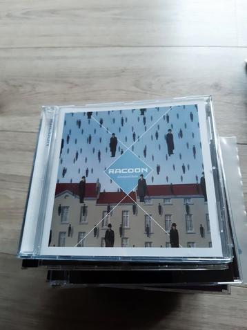 Racoon - Liverpool Rain beschikbaar voor biedingen