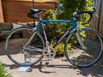 Concorde vittorio elite Campagnolo stalen racefiets, 28 inch, Gebruikt, Heren, 53 tot 57 cm