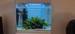 SuperFish aquarium met toebehoren, Dieren en Toebehoren, Vissen | Aquaria en Toebehoren, Ophalen, Gebruikt, Gevuld zoetwateraquarium