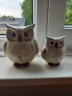 Twee uiltjes, Ophalen of Verzenden, Dier