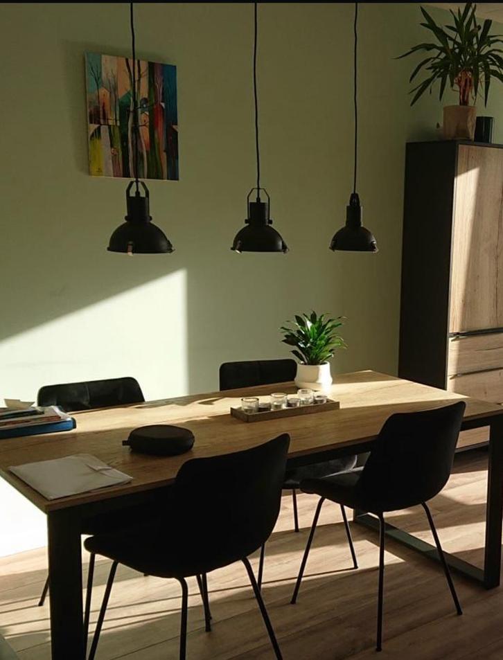 Hanglampen, Huis en Inrichting, Lampen | Hanglampen, Zo goed als nieuw, 50 tot 75 cm, Ophalen