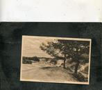 Ansicht Emmen - Op 't Haantjeboer in de Emmer Dennen, Verzenden, 1920 tot 1940, Gelopen, Drenthe