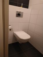 Sphinx Toilet softclose UP100 en chrome drukplaat, Doe-het-zelf en Verbouw, Sanitair, Ophalen of Verzenden, Zo goed als nieuw