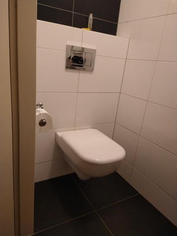 Sphinx Toilet softclose UP100 en chrome drukplaat beschikbaar voor biedingen