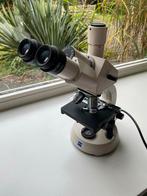 Zeiss Microscoop - Nieuw!, Audio, Tv en Foto, Optische apparatuur | Microscopen, Ophalen of Verzenden, Nieuw, Minder dan 400x