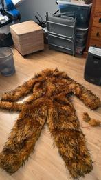 Katten kostuum, Ophalen of Verzenden, Zo goed als nieuw