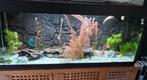 Juwel aquarium 150x50x50 inclusief visbestand en toebehoren!, Dieren en Toebehoren, Vissen | Aquaria en Toebehoren, Ophalen, Gebruikt
