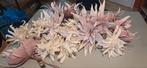 PTMD Kunstbloemen - Paars & Wit - 14 stuks, Ophalen of Verzenden