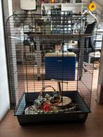 Vogel kooi te koop, Dieren en Toebehoren, Ophalen of Verzenden, Zo goed als nieuw, Metaal, Vogelkooi
