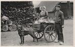 BOXTEL MELKVENTER  HONDENKAR Duitse tekst 25.091, Verzenden, 1920 tot 1940, Ongelopen, Hond of Kat