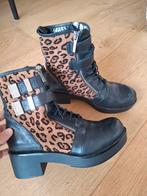 Roberto Botticelli Enkellaarsjes Tijgerprint Mt 38, Kleding | Dames, Schoenen, Zwart, Lage of Enkellaarzen, Ophalen of Verzenden