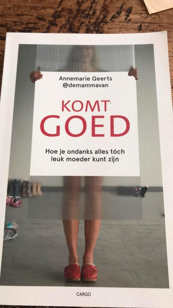 Komt goed, Boeken, Zwangerschap en Opvoeding, Gelezen, Ophalen of Verzenden