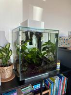 Aquarium, Dieren en Toebehoren, Vissen | Aquaria en Toebehoren, Ophalen, Gebruikt, Gevuld zoetwateraquarium