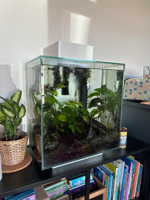 Aquarium, Dieren en Toebehoren, Vissen | Aquaria en Toebehoren, Gebruikt, Gevuld zoetwateraquarium, Ophalen