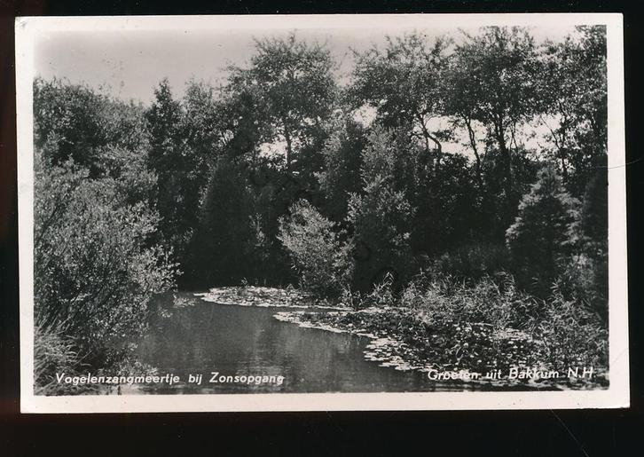Bakkum - Vogelenmeertje [KRST009-1763, Verzamelen, Ansichtkaarten | Nederland, Gelopen, Noord-Holland, 1940 tot 1960, Verzenden