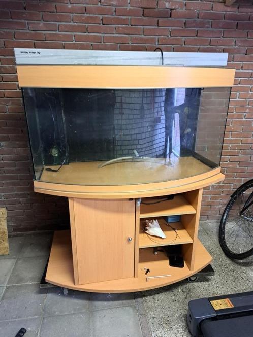 Aqua Medic Percula 120 zeeaquarium, Dieren en Toebehoren, Vissen | Aquaria en Toebehoren, Gebruikt, Leeg aquarium, Ophalen of Verzenden