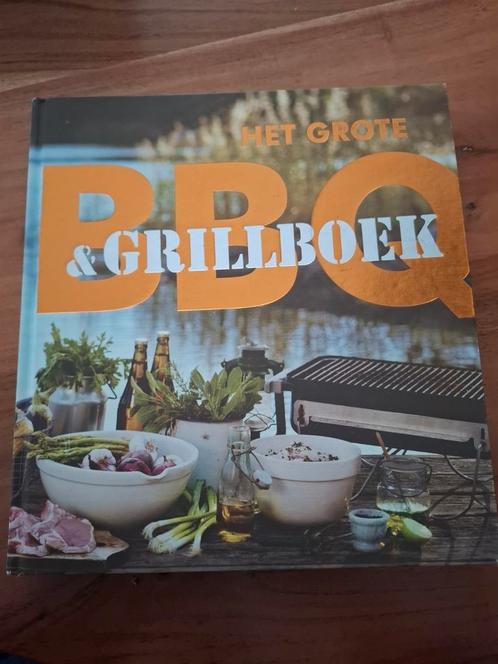 Het grote BBQ en grillboek, Boeken, Kookboeken, Zo goed als nieuw, Ophalen of Verzenden