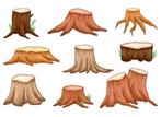 Hout, Tuin en Terras, Haardhout, Ophalen