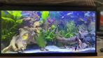 AQAURIUM, Dieren en Toebehoren, Ophalen of Verzenden