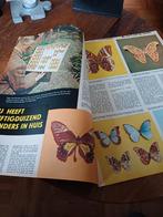 Artikel over J.R. Caron Hilversum vlinderverzameling 1960, Ophalen of Verzenden, 1940 tot 1960, Knipsel(s)