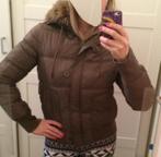 Review bruin dikke winterjas jack jacket jas met capuchon XL, Review, Bruin, Maat 46/48 (XL) of groter, Nieuw