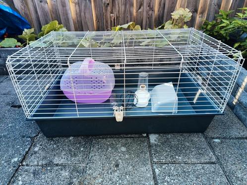 Konijnenhok binnen grijs. 96x 57, Dieren en Toebehoren, Knaagdieren en Konijnen | Hokken en Kooien, Zo goed als nieuw, Kooi, Minder dan 60 cm