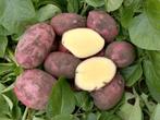 Aardappels  tekoop   bildtstar & alouette, Ophalen