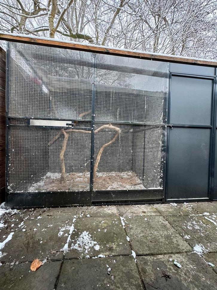 Zeer mooie voliere met binnenhok en wandbekleding, Dieren en Toebehoren, Vogels | Hokken en Kooien, Zo goed als nieuw, Volière