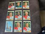 Panini voetbal 1995 Feyenoord, Ophalen of Verzenden, Zo goed als nieuw, Feyenoord, Poster, Plaatje of Sticker