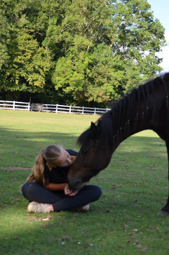 Verzorg pony gezocht/bijrijder/verzorger aangeboden, Dieren en Toebehoren, Paarden en Pony's | Overige Paardenspullen, Nieuw, Ophalen of Verzenden
