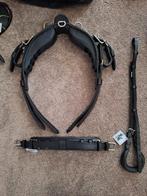 Nieuw zwart leren marathon mentuig maat mini, Dieren en Toebehoren, Ophalen of Verzenden, Nieuw, Overige soorten