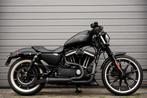 Harley Davidson XL 883 N Sportster Iron Black Edition 5HD Bl, Motoren, Motoren | Harley-Davidson, Chopper, Bedrijf, 883 cc, Meer dan 35 kW