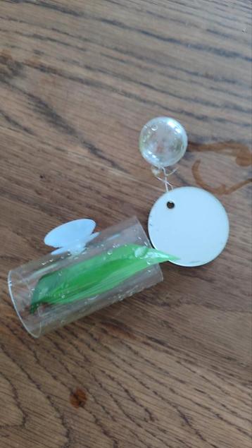 fish accessories Betta beschikbaar voor biedingen