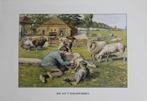 Prent van Jetses: Bos aan 't schaapscheren, Ophalen, Nieuw, Voor 1940, Dier