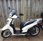 Te Koop Malaguti Centro Met Kenteken Loop Of Sloop GoedLezen, Ophalen, Gebruikt, Frame, Piaggio