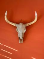 Stierenkop Wanddecoratie, Ophalen of Verzenden, Zo goed als nieuw