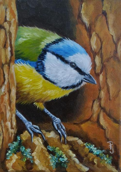 schilderij jonge pimpelmees 127 - origineel cadeau -olieverf, Antiek en Kunst, Kunst | Schilderijen | Klassiek, Ophalen of Verzenden