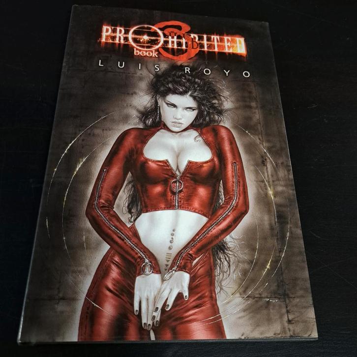 Prohibited Book - Luis Royo hardcover, Boeken, Kunst en Cultuur | Fotografie en Design, Gelezen, Overige onderwerpen, Ophalen of Verzenden