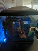 Juwel aquarium, Dieren en Toebehoren, Vissen | Aquaria en Toebehoren, Ophalen of Verzenden, Leeg aquarium