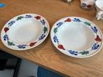 2x Boerenbont diep bord 24 cm, Huis en Inrichting, Keuken | Servies, Ophalen of Verzenden, Zo goed als nieuw, Bord(en), Aardewerk