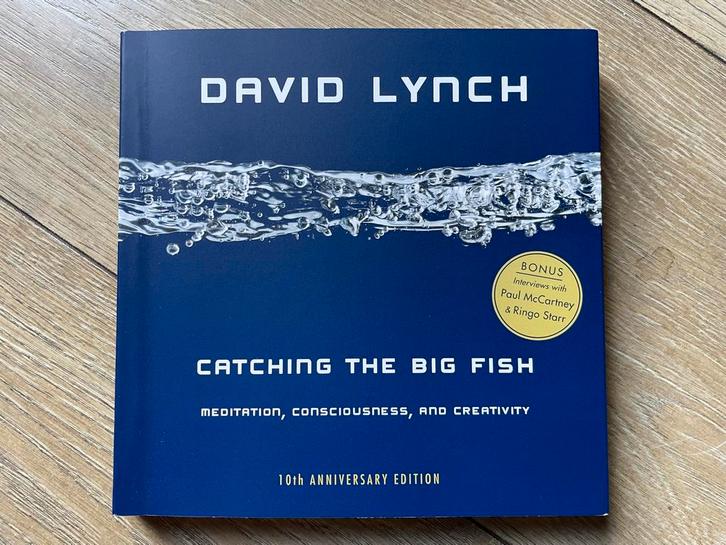 David Lynch - Catching the Big Fish, Boeken, Kunst en Cultuur | Fotografie en Design, Zo goed als nieuw, Fotografie algemeen, Ophalen of Verzenden