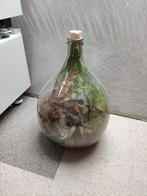 Planten Terrarium mini-ecosysteem, Ophalen