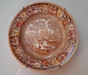 Wandbord/Petrus Regout/Wild Rose 22 cms beschikbaar voor biedingen