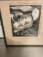 Jan Schonk - Litho Waterlelies - Ingelijst, Ophalen of Verzenden