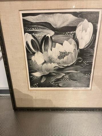 Jan Schonk - Litho Waterlelies - Ingelijst beschikbaar voor biedingen